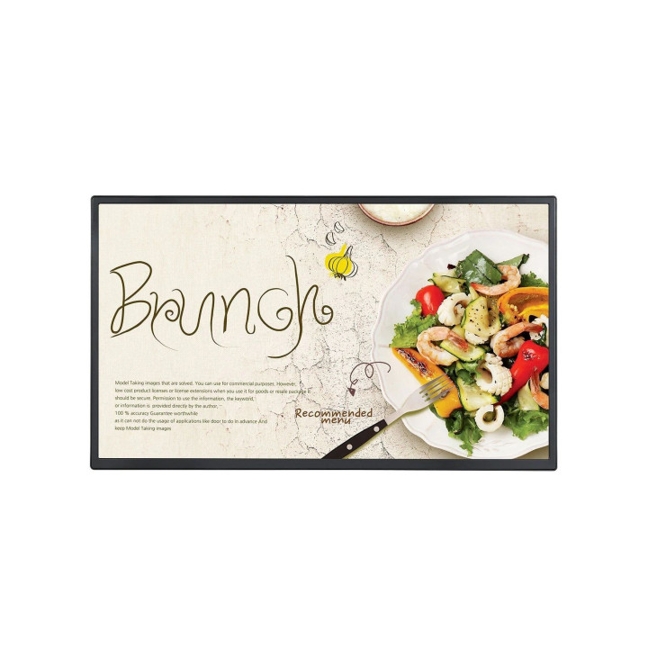 LG ELECTRONICS 32  LED IPS 1920X1080 169 400 NIT 11001